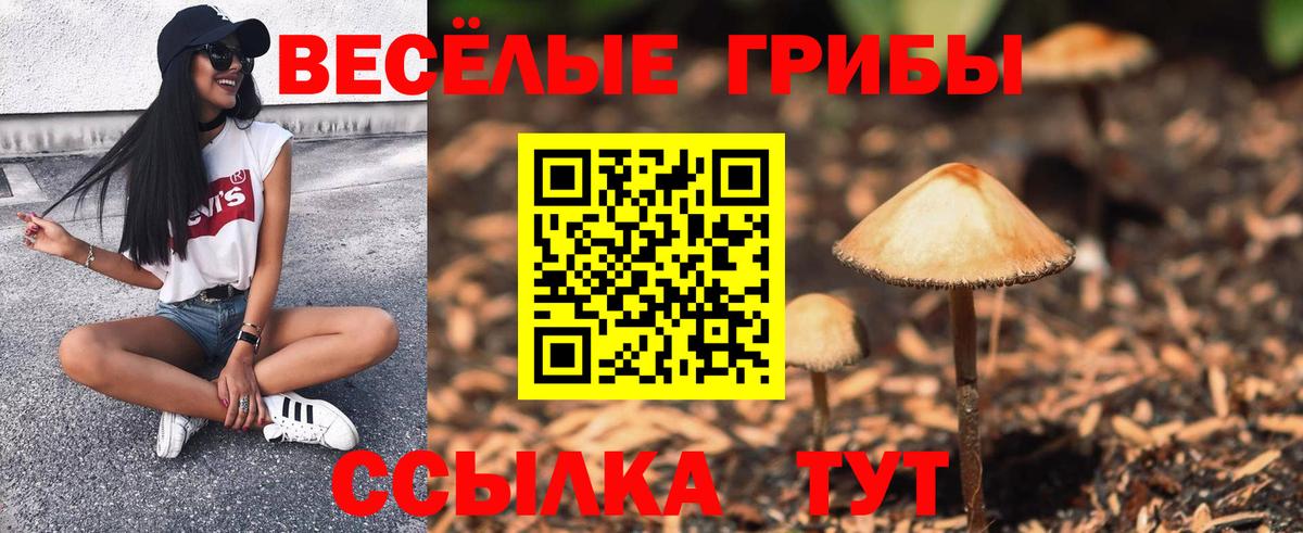 Великие Луки  Галлюциногенные грибы Magic Shrooms  Вход с VPN 